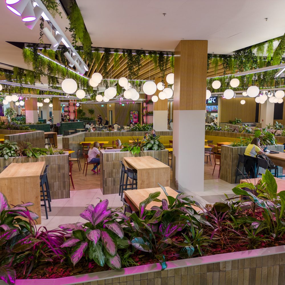 Koki-Foodport-4