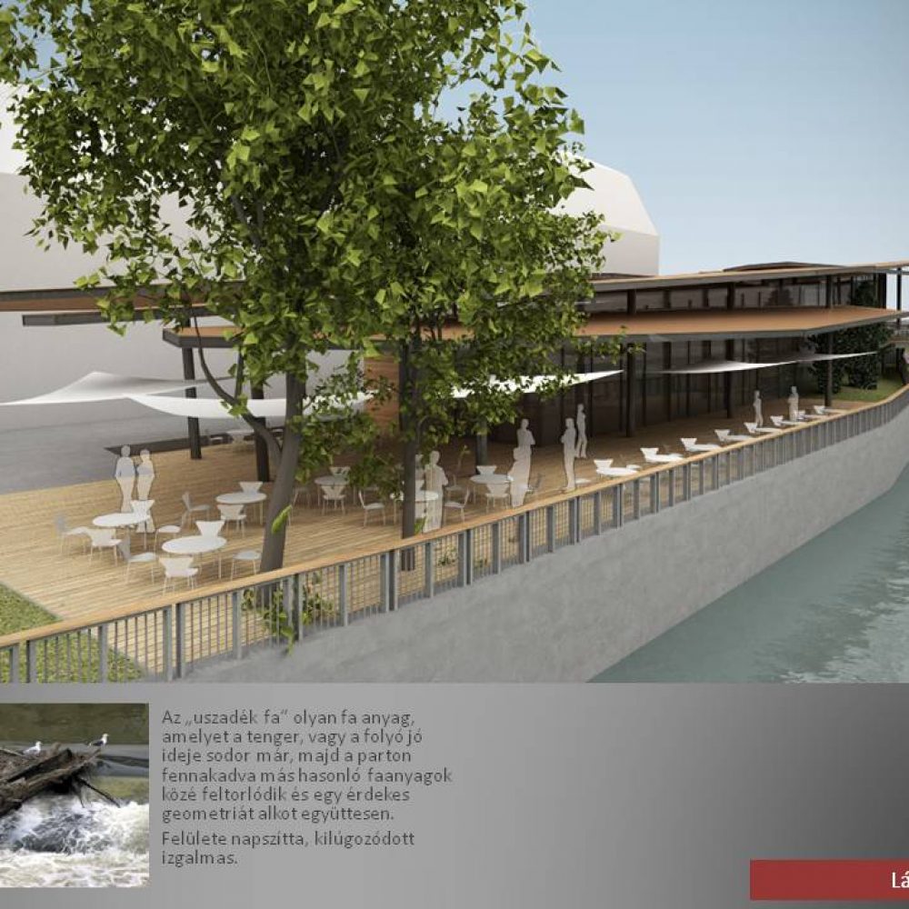 NDR_Nagyvarad Driftwood restaurant (6)