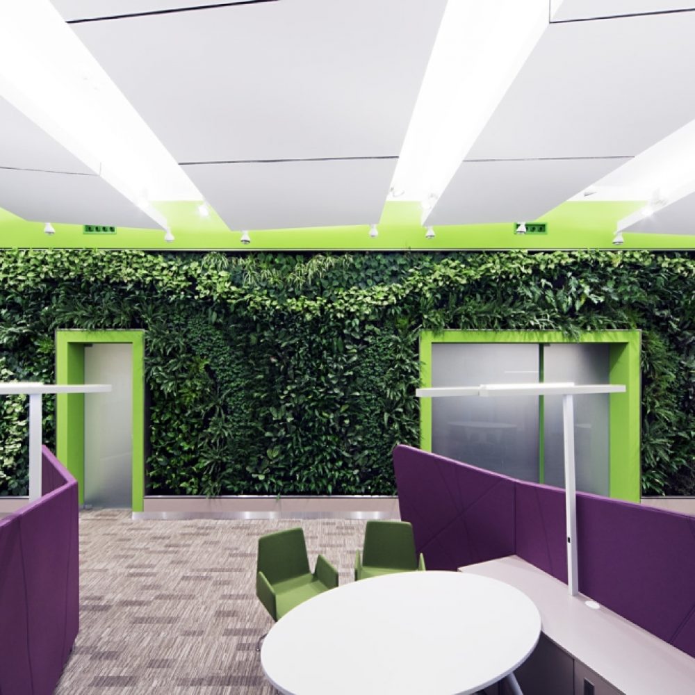 OTP A6 green wall (3)