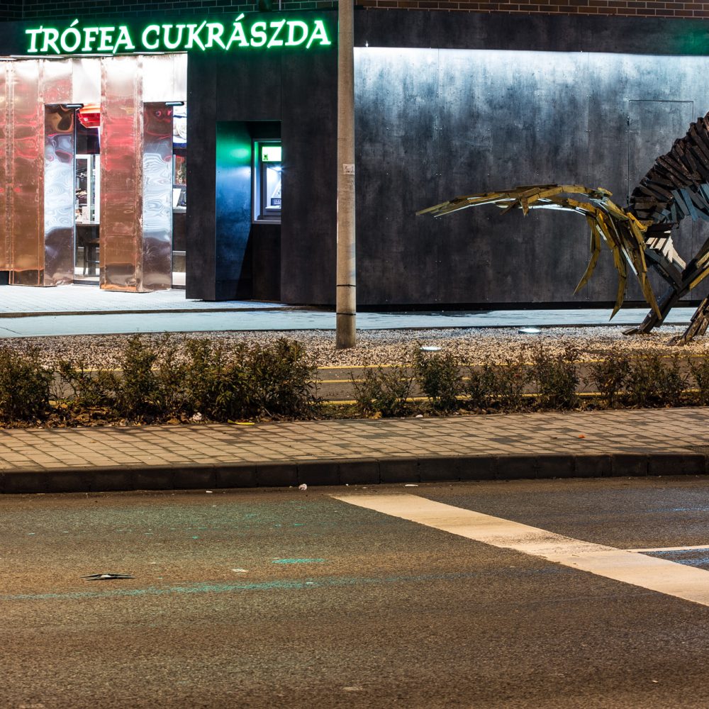 trofea_06